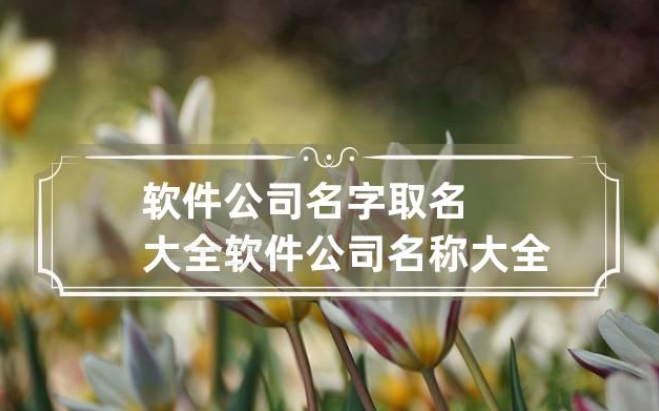 沧州软件公司名叫什么好听易记